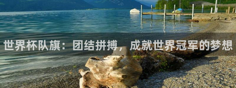 世界杯直播在线观看入口：世界杯队旗：团结拼搏，成就世界冠军的梦想