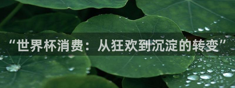 世界杯预选赛赛程时间表：“世界杯消费：从狂欢到沉淀的转变”