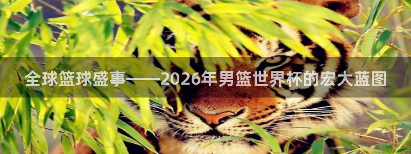 世界杯足球赛2026赛程时间：全球篮球盛事——2026年男篮世界杯的宏大蓝图