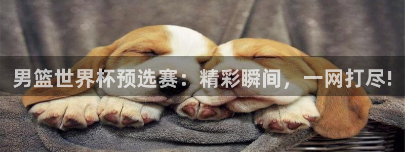 世界杯直播时间：男篮世界杯预选赛：精彩瞬间，一网打尽!