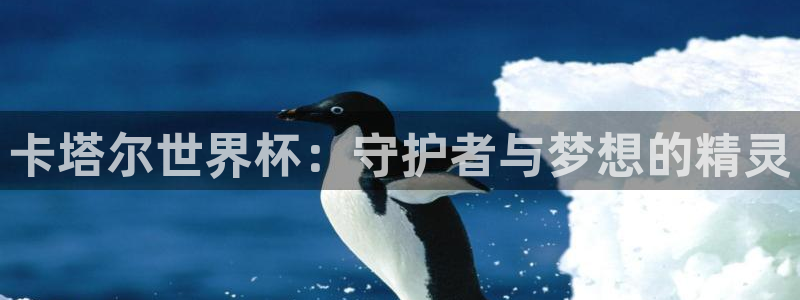 世预赛直播：卡塔尔世界杯：守护者与梦想的精灵