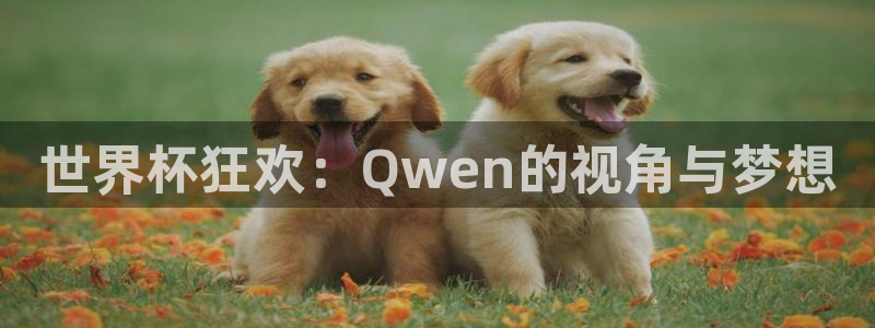 2026世界杯直播免费观看：世界杯狂欢：Qwen的视角与梦想