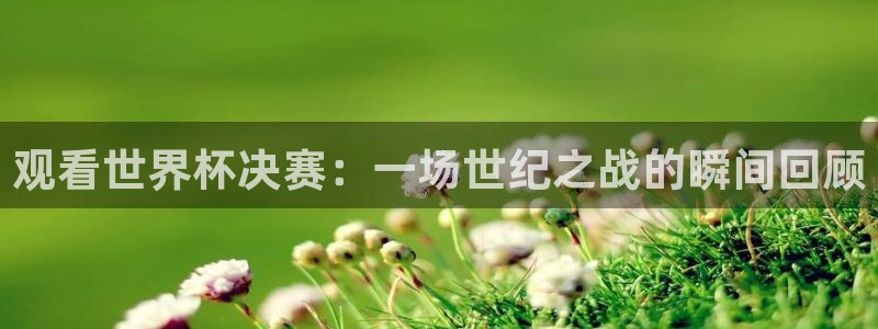 世界杯 赛程：观看世界杯决赛：一场世纪之战的瞬间回顾