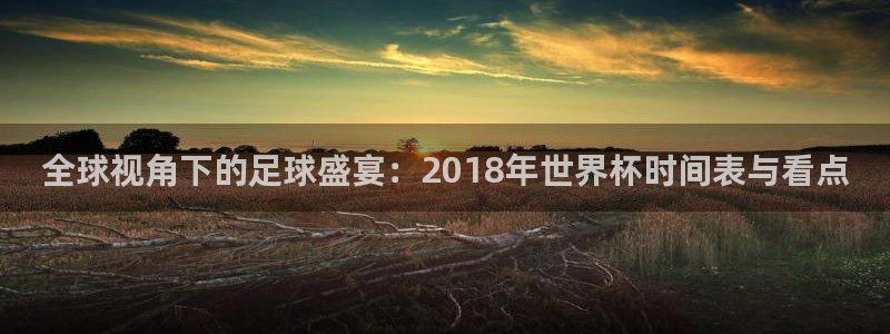 2026世界杯赛程表完整版：全球视角下的足球盛宴：2018年世界杯时间表与看点