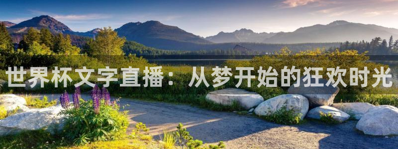 世界杯足球赛：世界杯文字直播：从梦开始的狂欢时光