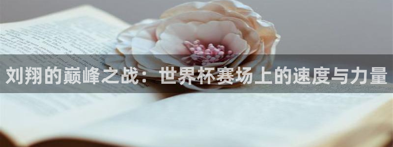 2026世界杯亚洲预选赛赛程：刘翔的巅峰之战：世界杯赛场上的速度与力量