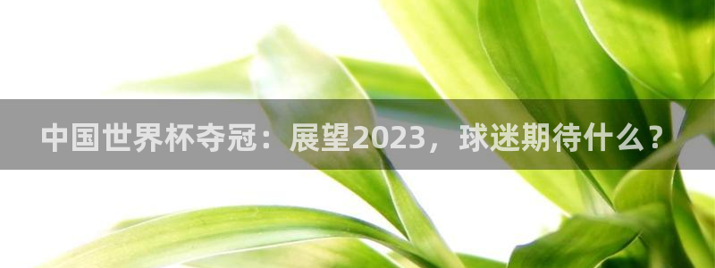 世界杯决赛预测：中国世界杯夺冠：展望2023，球迷期待什么？