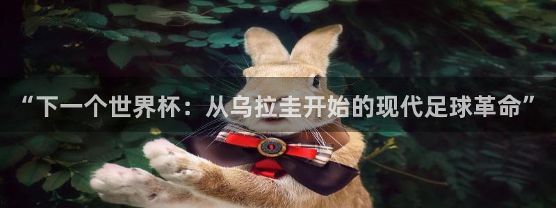 2026世界杯德国队阵容：“下一个世界杯：从乌拉圭开始的现代足球革命”