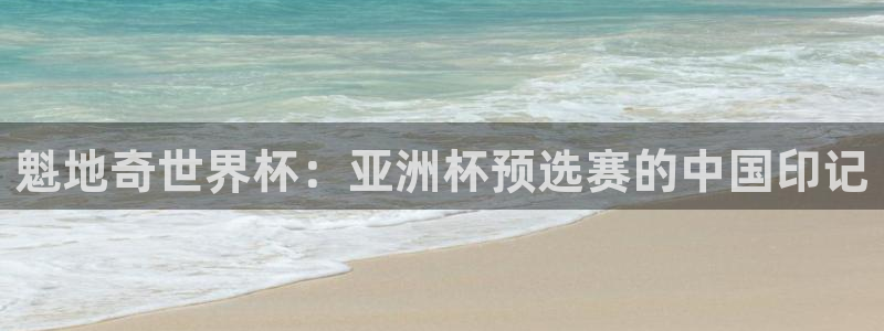 2026足球世界杯：魁地奇世界杯：亚洲杯预选赛的中国印记