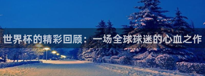 英足总杯直播：世界杯的精彩回顾：一场全球球迷的心血之作