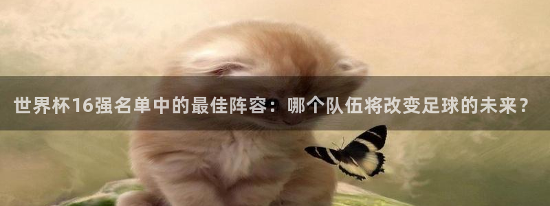 世界杯球赛：世界杯16强名单中的最佳阵容：哪个队伍将改变足球的未来？