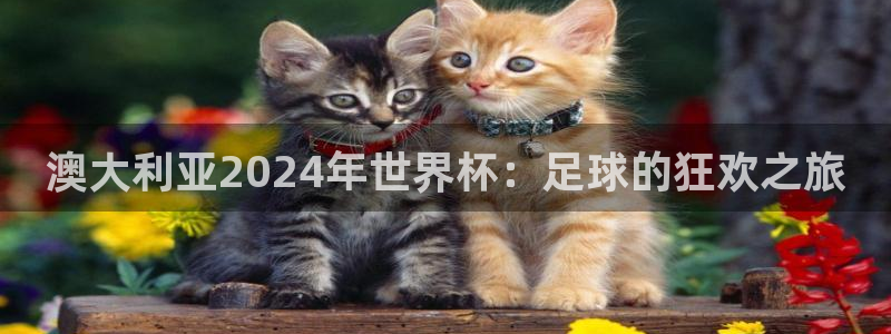 世界杯今日赛程直播：澳大利亚2024年世界杯：足球的狂欢之旅
