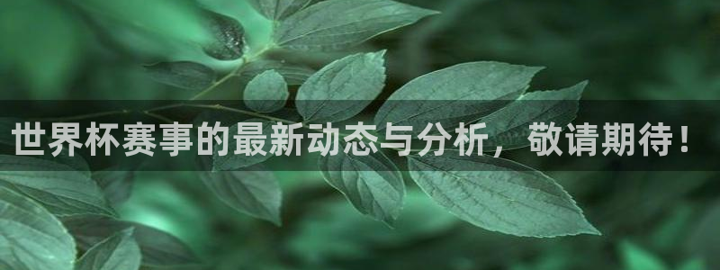 世界杯预选赛2026：世界杯赛事的最新动态与分析，敬请期待！
