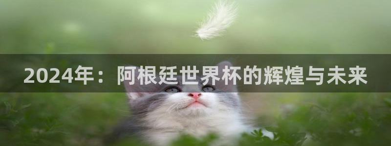 联赛杯直播：2024年：阿根廷世界杯的辉煌与未来
