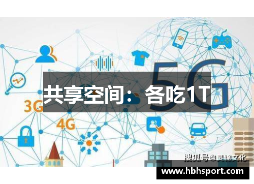 共享空间：各吃1T